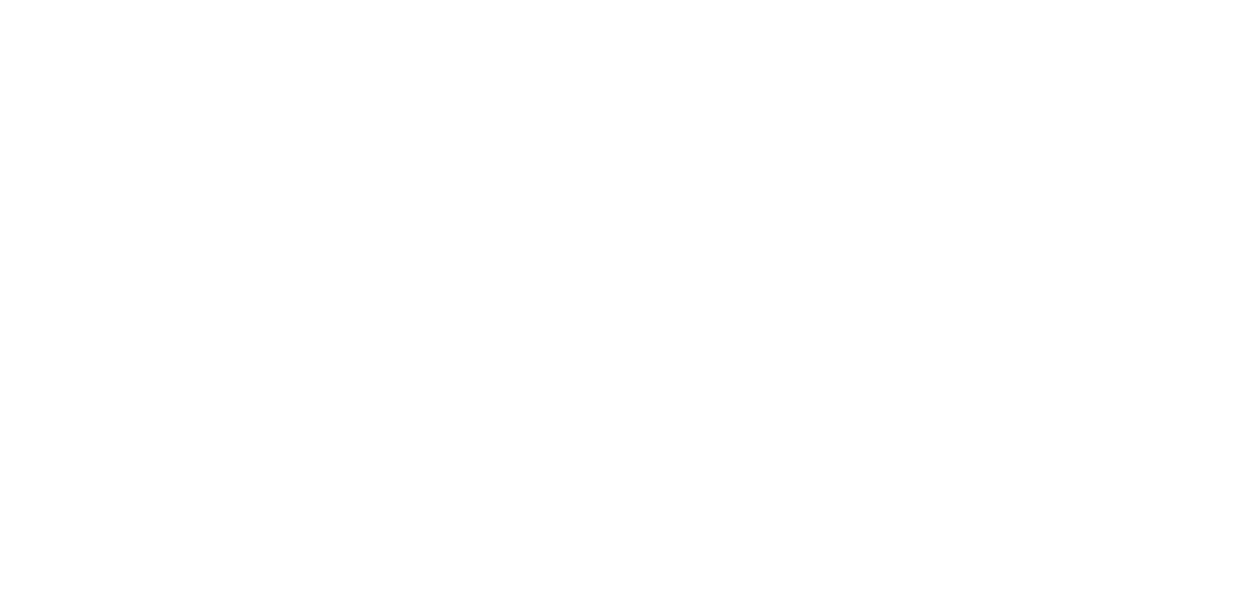 Их чудесное время