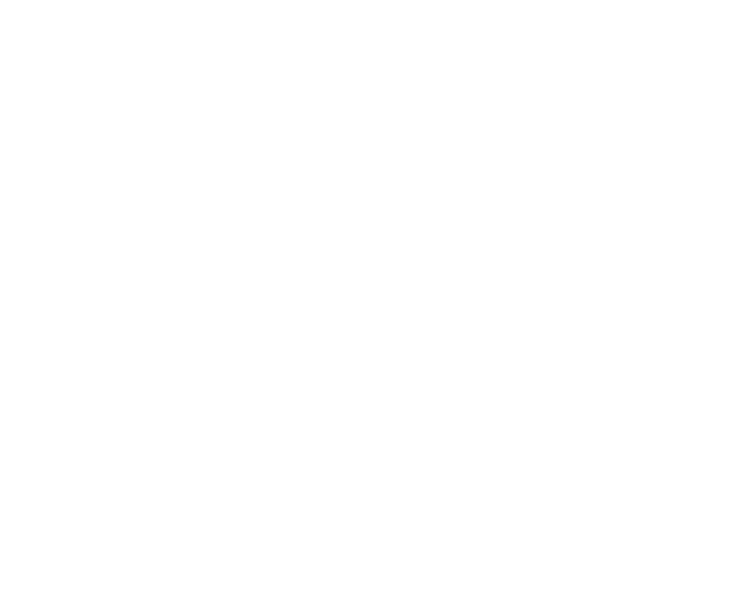 Все женщины мира Все женщины мира